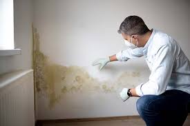 Professional Mold Removal & Remediation in Shiprock, NM